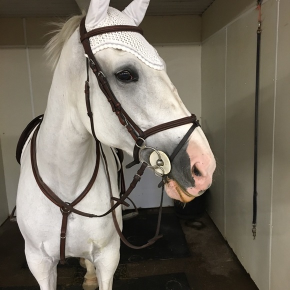 Hi welcome to Pam’s Preloved - Picture 3 of 7